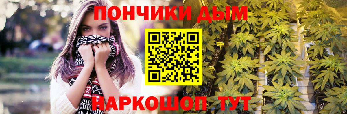 Бошки марихуана MAZAR Горно-Алтайск